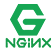 Nginx 